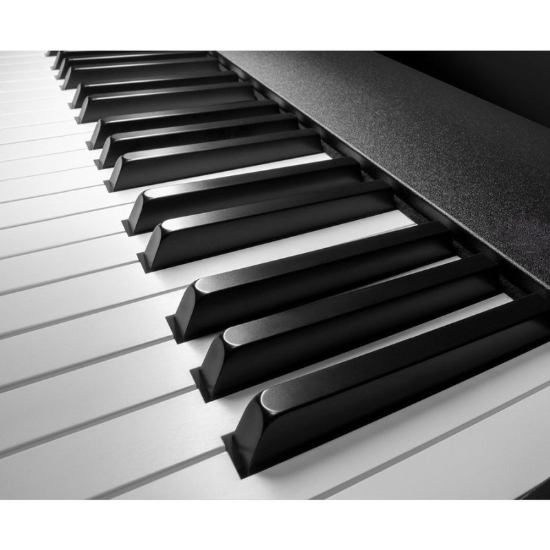ROLAND A-88MKII Midi-клавіатура