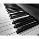 ROLAND A-88MKII Midi-клавіатура