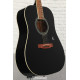 Гітара акустична EPIPHONE DR-100 EB