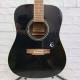 Гітара акустична EPIPHONE DR-100 EB