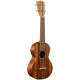 MARTIN C1KUKE Укулеле концерт