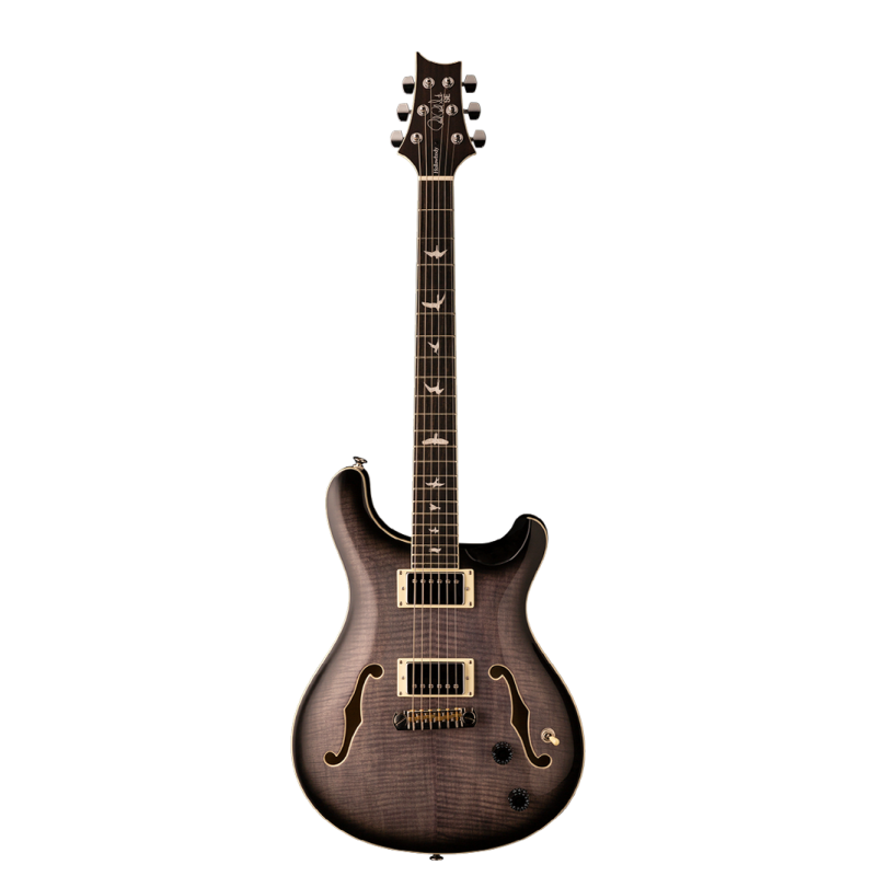 PRS H2ECBCA Электрогитара