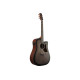 IBANEZ AAD50CE-TCB Акустическая гитара