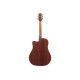 IBANEZ AAD50CE-TCB Акустическая гитара