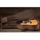 TAYLOR GUITARS 214CE Гітара електроакустична