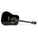 Гітара акустична EPIPHONE DR-100 EB