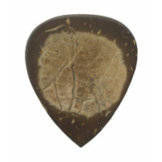 CHS/3 EXOTIC STD COCONUT SHELL (3 шт)