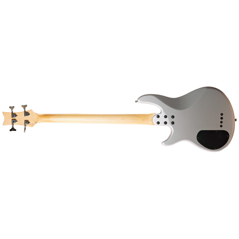 SCHECTER RAIDEN DLX-4 MSIL