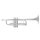 Труба Roy Benson TR-402CS C-Trumpet