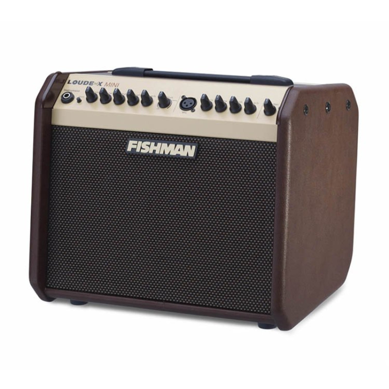 FISHMAN PRO-LBX-EX5 Loudbox Mini 60 Гітарний комбопідсилювач