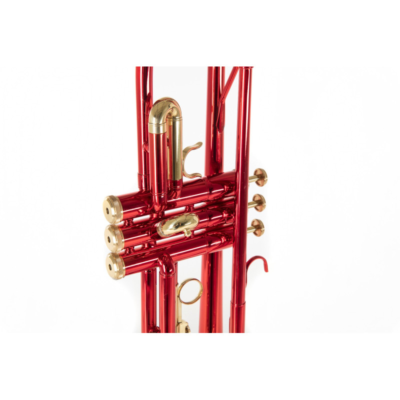Труба Roy Benson TR-101R Bb-Trumpet