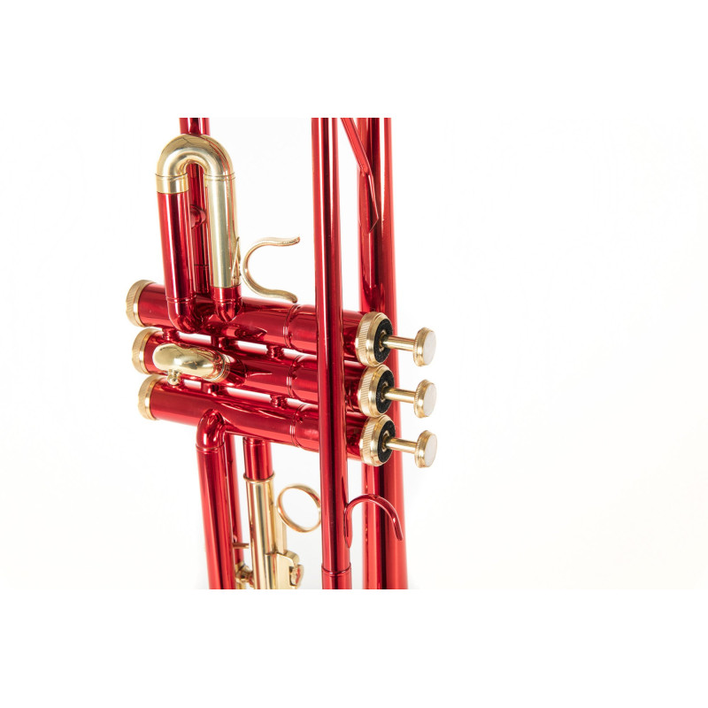Труба Roy Benson TR-101R Bb-Trumpet