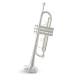 Труба Roy Benson TR-402CS C-Trumpet