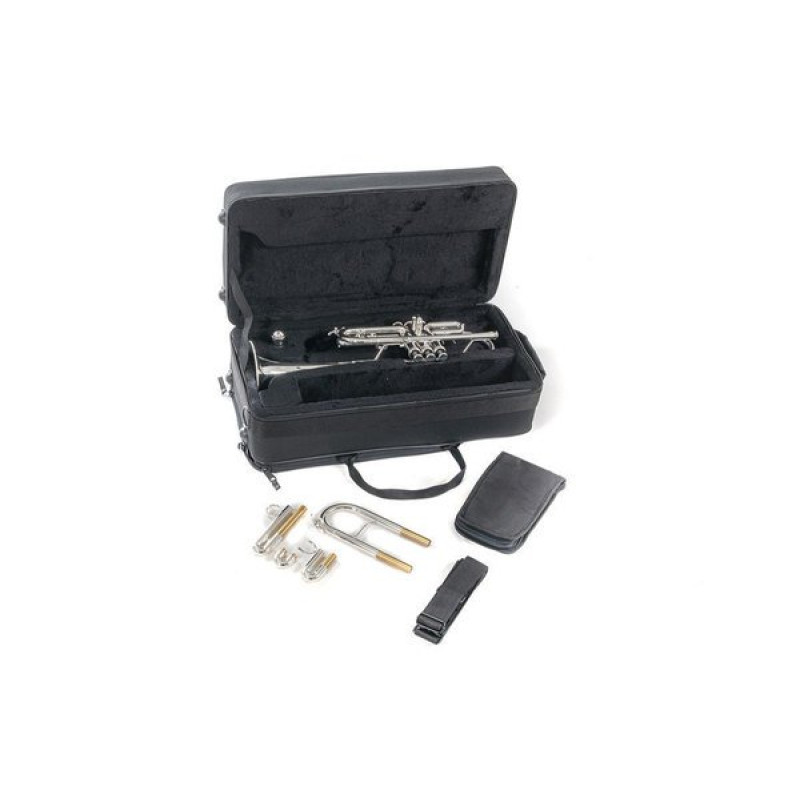 Труба Roy Benson TR-402CS C-Trumpet