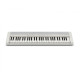 CASIO Casiotone CT-S1WE Синтезатор