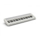 CASIO Casiotone CT-S1WE Синтезатор