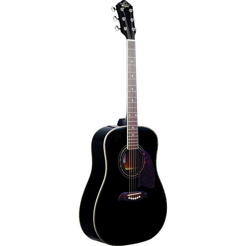 WASHBURN OG2B Акустическая гитара