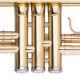 STAGG P WS-TR115 Труба Си-бемоль среднего уровня