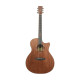 TANGLEWOOD TWX6 CE BW Електроакустична гітара