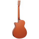 TANGLEWOOD TA4 CE HN Акустична гітара
