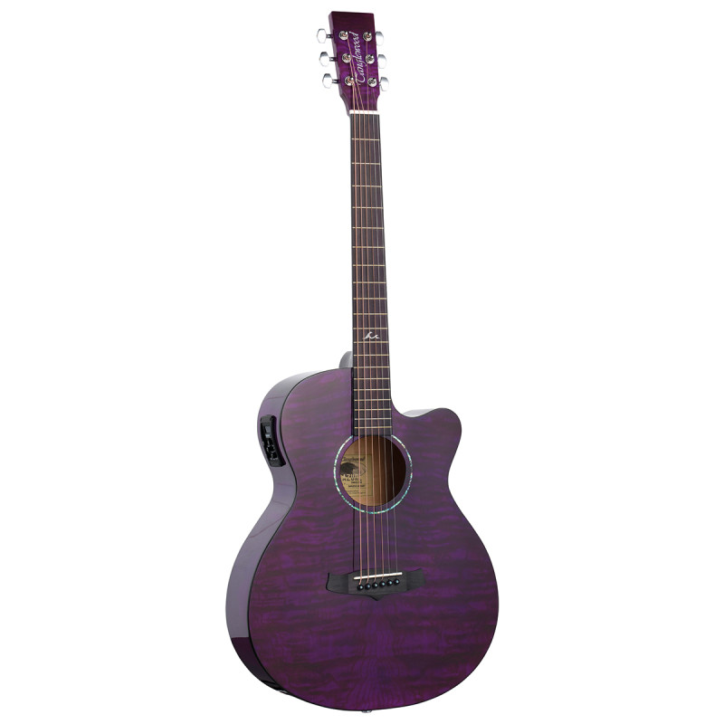 TANGLEWOOD TA4 CE PU Акустическая гитара