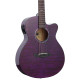 TANGLEWOOD TA4 CE PU Акустическая гитара