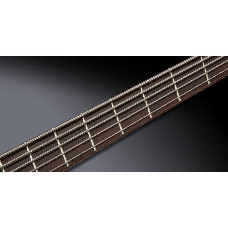 WARWICK RockBass Corvette Multiscale, 5-String (Solid Black Satin) Бас-гітара