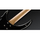 WARWICK RockBass Vampyre, 5-String (Solid Black High Polish) Бас-гітара
