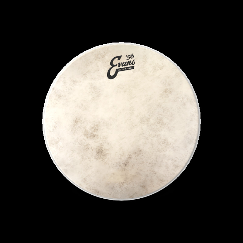 EVANS 12
