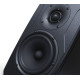 IK MULTIMEDIA iLoud Precision 5