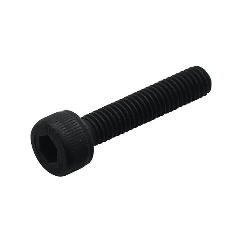 WARWICK SP W30151 Bridge Height Adjustment Locking Screw Гвинт для бриджа M3x15 WARWICK SP W30151