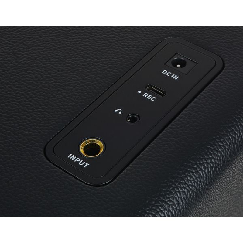 MOOER Hornet 15i (Black) Комбоусилитель