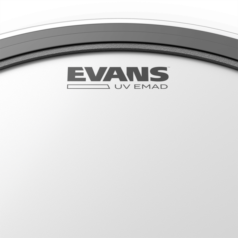 EVANS 20