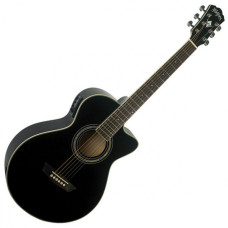 WASHBURN EA10 B Акустическая гитара