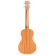 CORDOBA 15CM Matiz in Mint Укулеле концерт