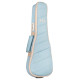 CORDOBA 15CM Matiz in Mint Укулеле концерт