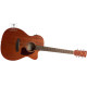 IBANEZ PC12MHCE OPN Акустична гітара