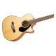 CB-60SCE NATURAL LR