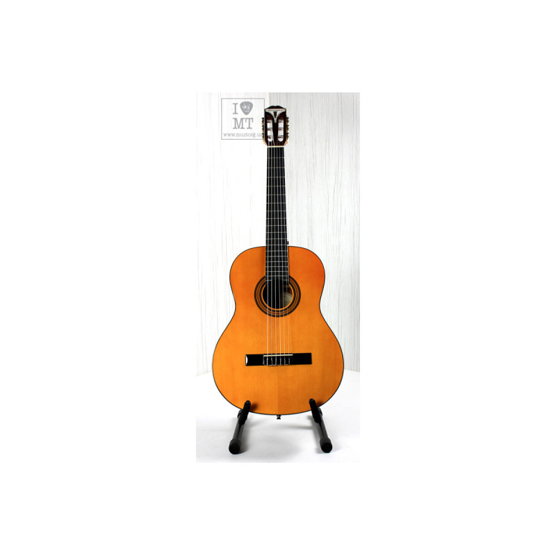 EPIPHONE PRO-1 CLASSIC 2.0 Гітара класична