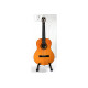 EPIPHONE PRO-1 CLASSIC 2.0 Гітара класична