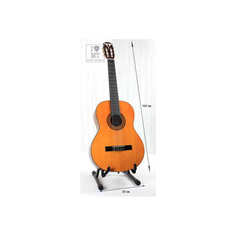 EPIPHONE PRO-1 CLASSIC 2.0 Гітара класична