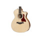TAYLOR GUITARS 214CE ROSEWOOD Гітара електроакустична
