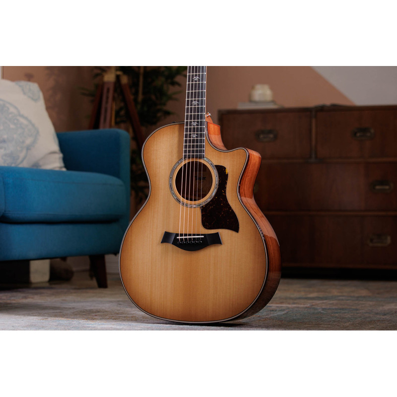 TAYLOR GUITARS 514CE Гітара електроакустична