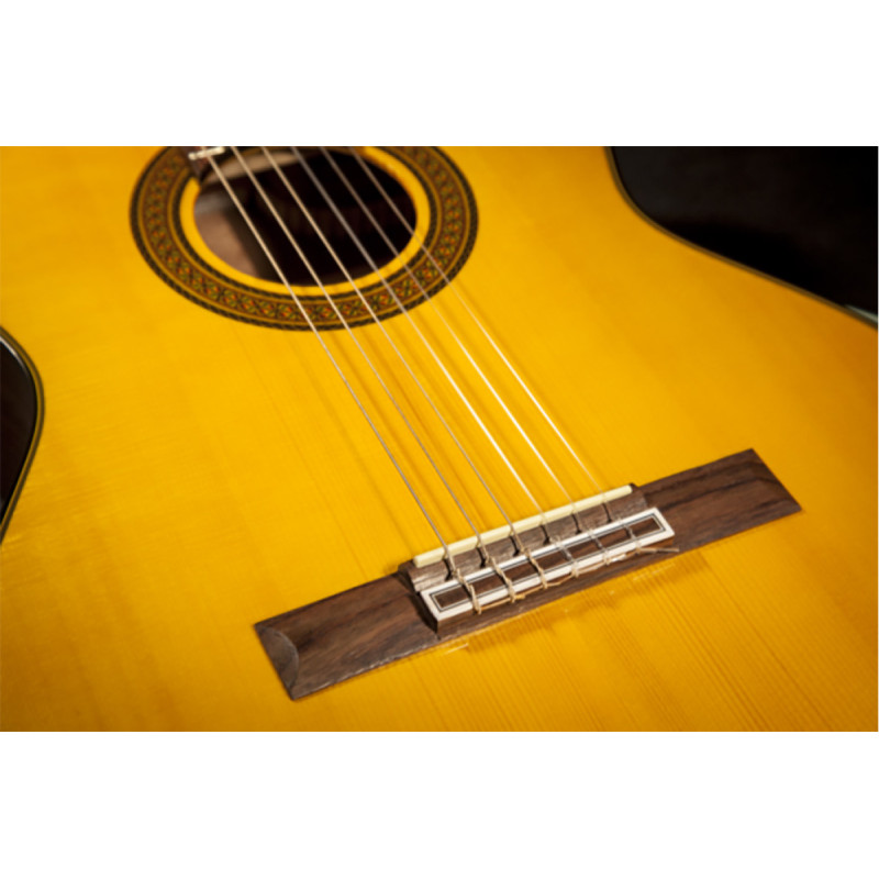 TAKAMINE GC5 NAT Гитара акустическая