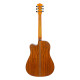 TONEBERG TQ-PS Акустическая гитара