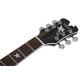 SCHECTER RS-1000 STAGE ACOUSTIC Акустическая гитара с датчиком