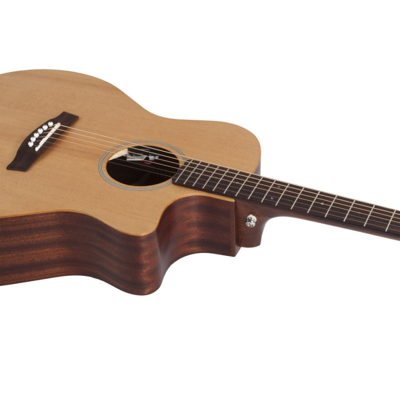 SCHECTER SCHECTER DELUXE ACOUSTIC NS Акустическая гитара