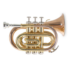 Кишенькова труба Roy Benson PT-101G Bb-Pocket trumpet