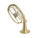 Тенор Roy Benson TH-202 Bb-Tenorhorn