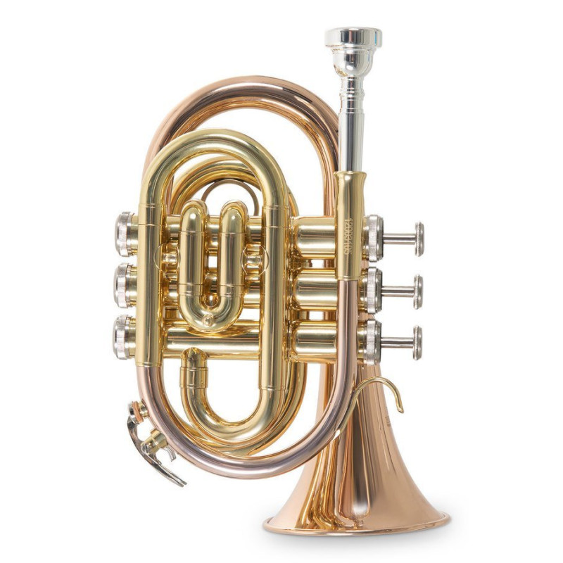Кишенькова труба Roy Benson PT-101G Bb-Pocket trumpet